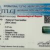 Certified Bi-Color Tourmaline in Premium Gift Box Hayat Gems
