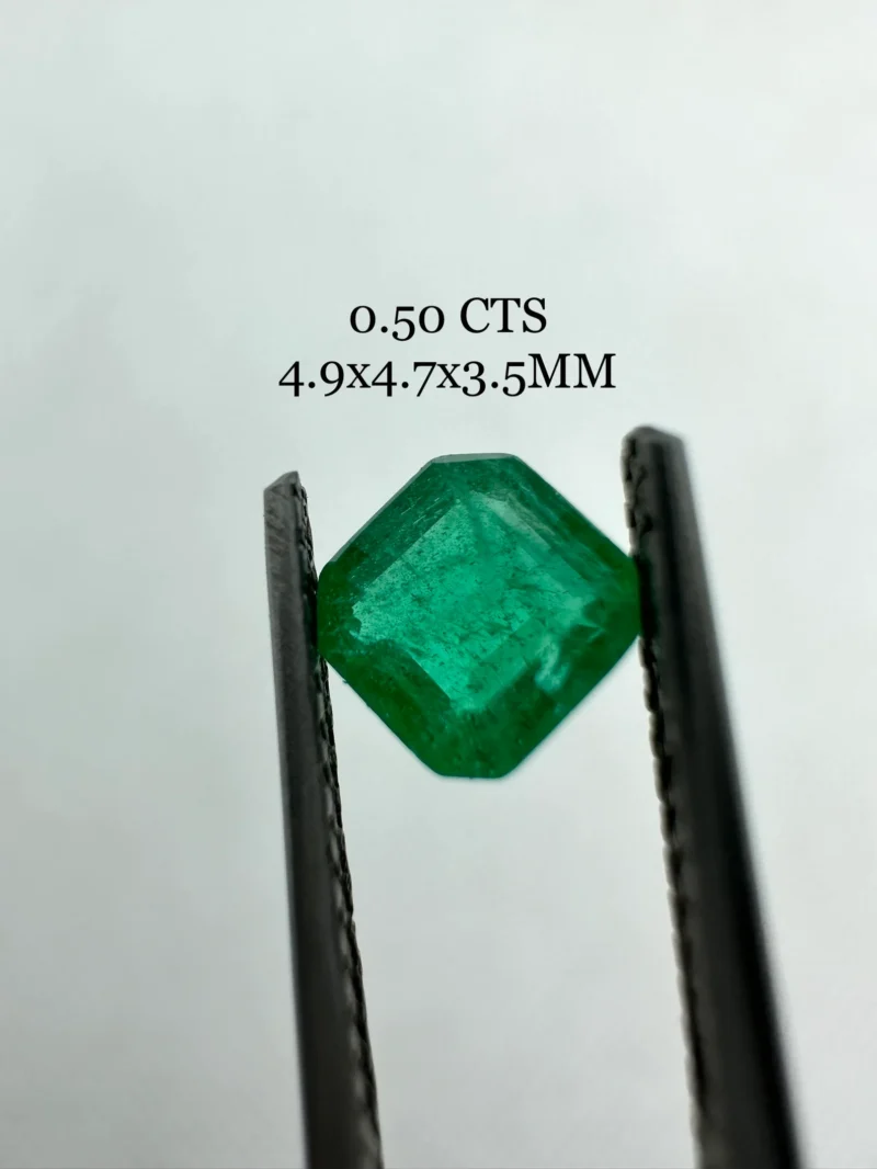 Natural Zambian Emerald 0.50 Carat | Square Cut Dark Green Minimalist Gemstone Natural Zambian Emerald 0.50 Carat Square Cut Dark Green Minimalist Gemstone